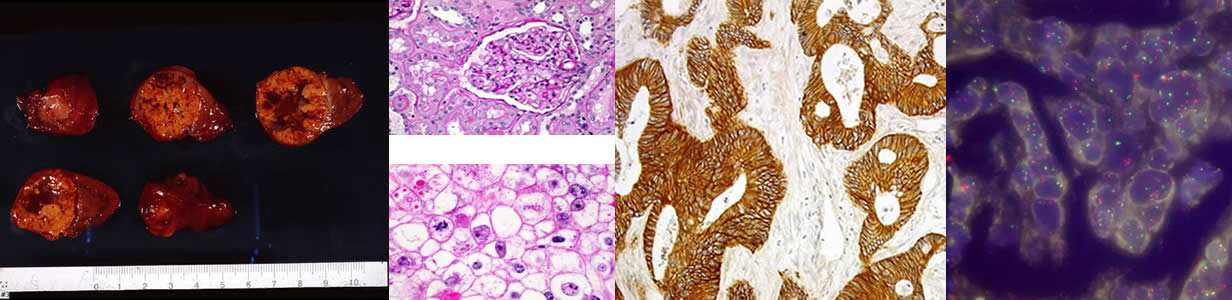 Pathologie im Hanseviertel Wesle